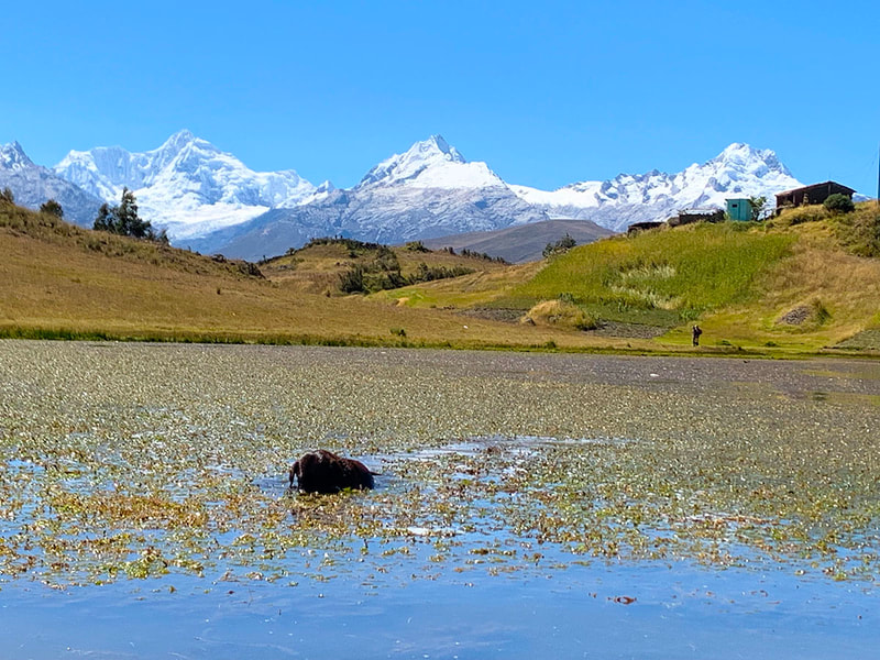 Trekking Laguna Wilcacocha en huaraz